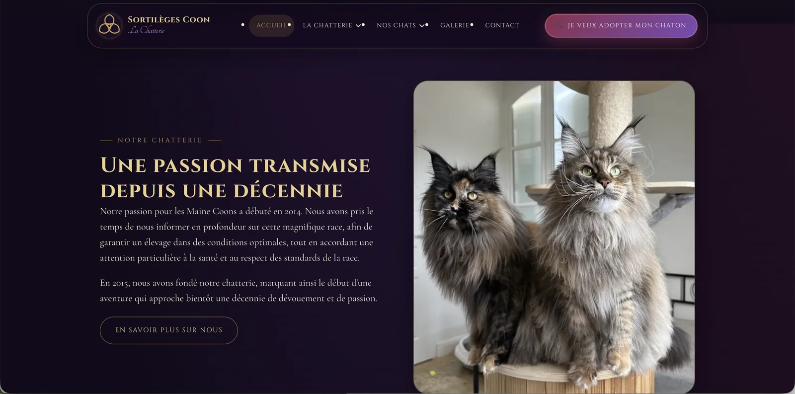 Capture — section Notre chatterie