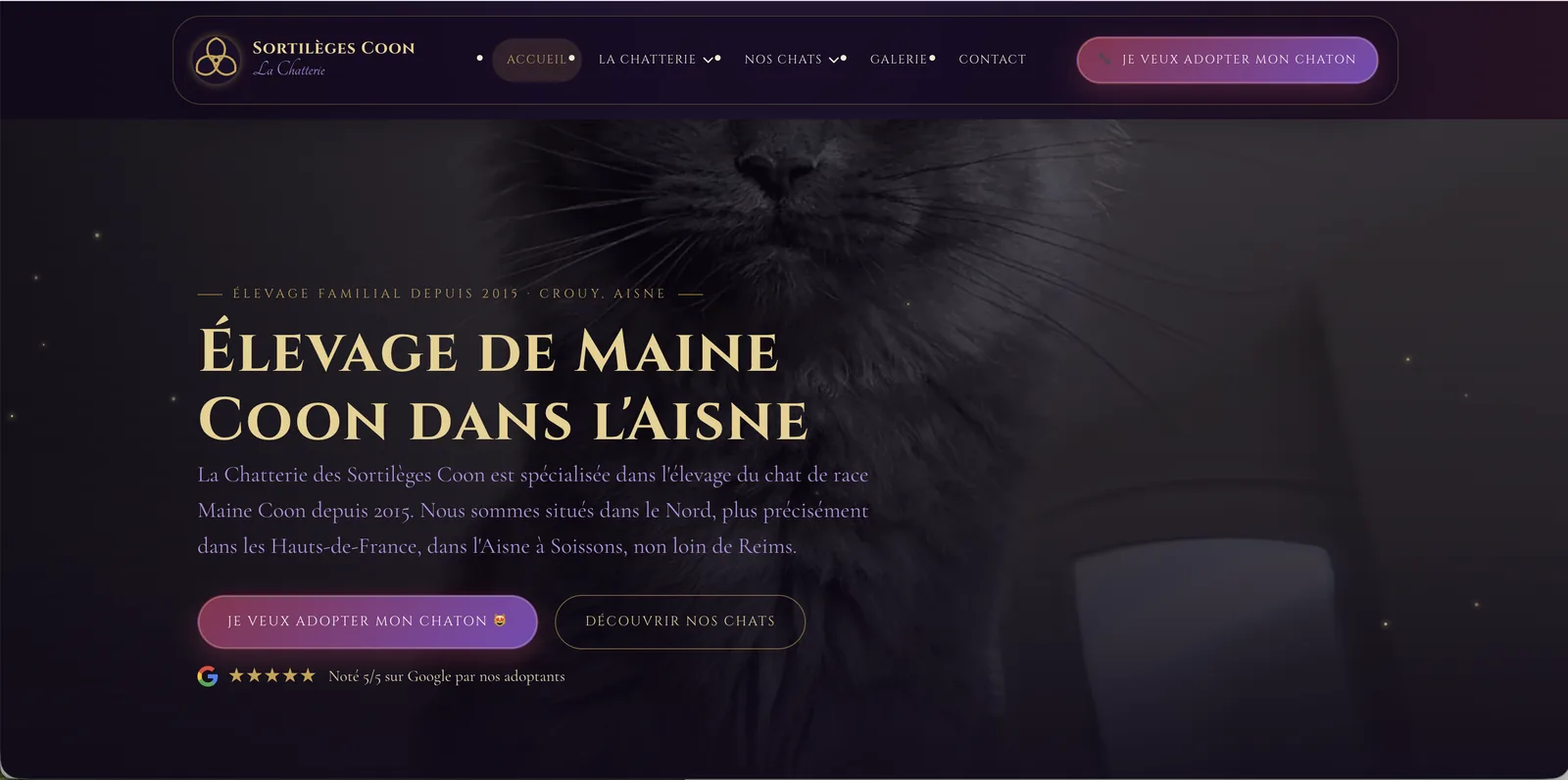 Capture principale du site — Chatterie des Sortilèges Coon