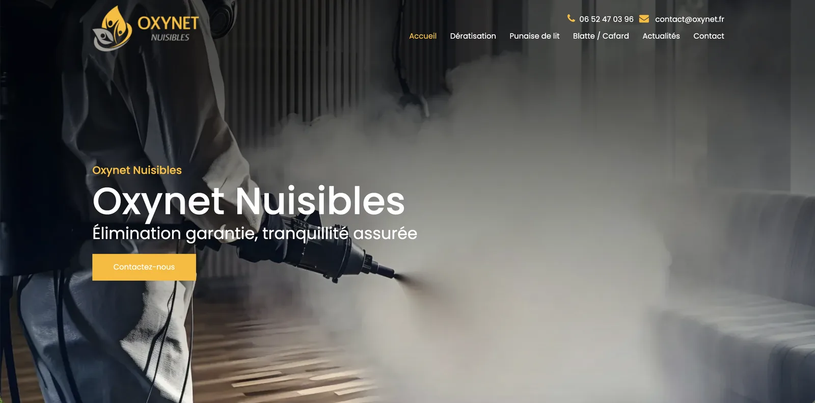 Capture de l'ancien site